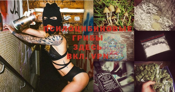 apvp Арсеньев