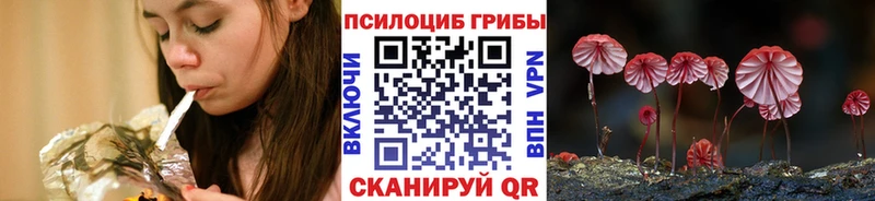 Галлюциногенные грибы Magic Shrooms  купить   Белёв 